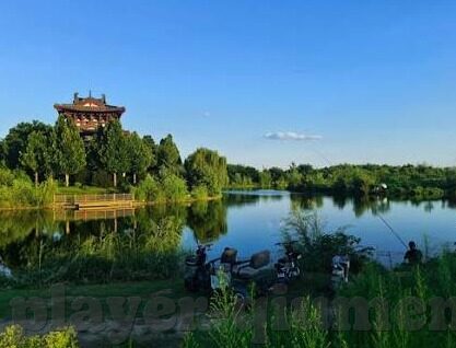 比分直播足球比分直播-揭秘比分直播，足球迷的实时狂欢与数据盛宴