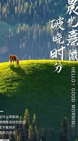韩国墨西哥足球比分-绿茵烽火，韩国与墨西哥足球对决的比分背后故事